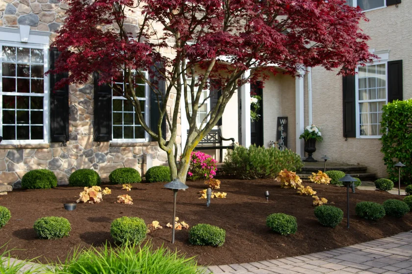 Landscape Design & Install in Media PA - ScapeWorx