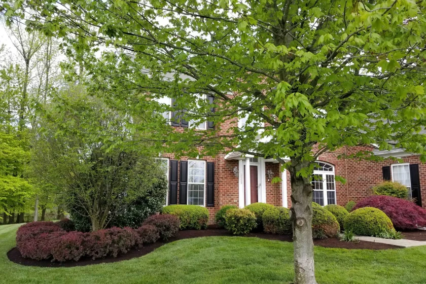Bark Mulch in Garnet Valley & Glen Mills, PA - ScapeWorx