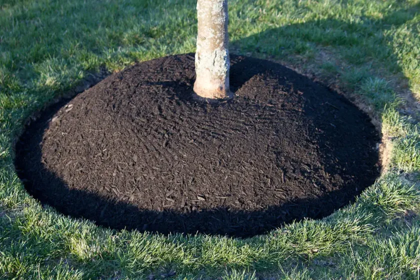 Mulch in Glen Mills & Garnet Valley PA - ScapeWorx