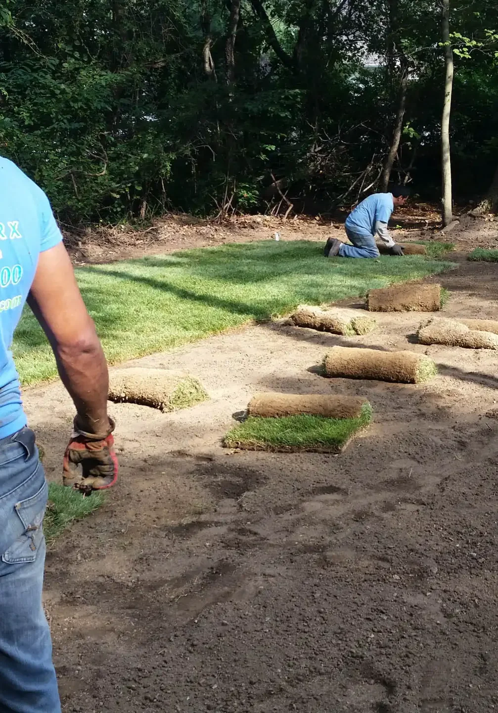 Landscape Contractors Glen Mills, PA