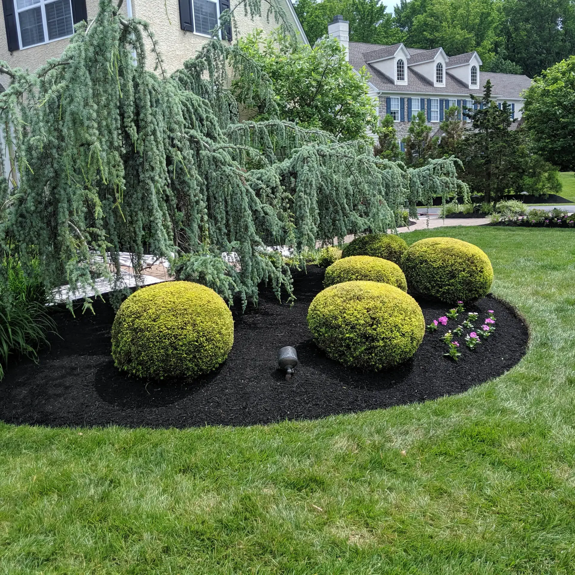 Pruning & Shrub / Bush Trimming in Garnet Valley, Media, & Glen Mills, PA - ScapeWorx