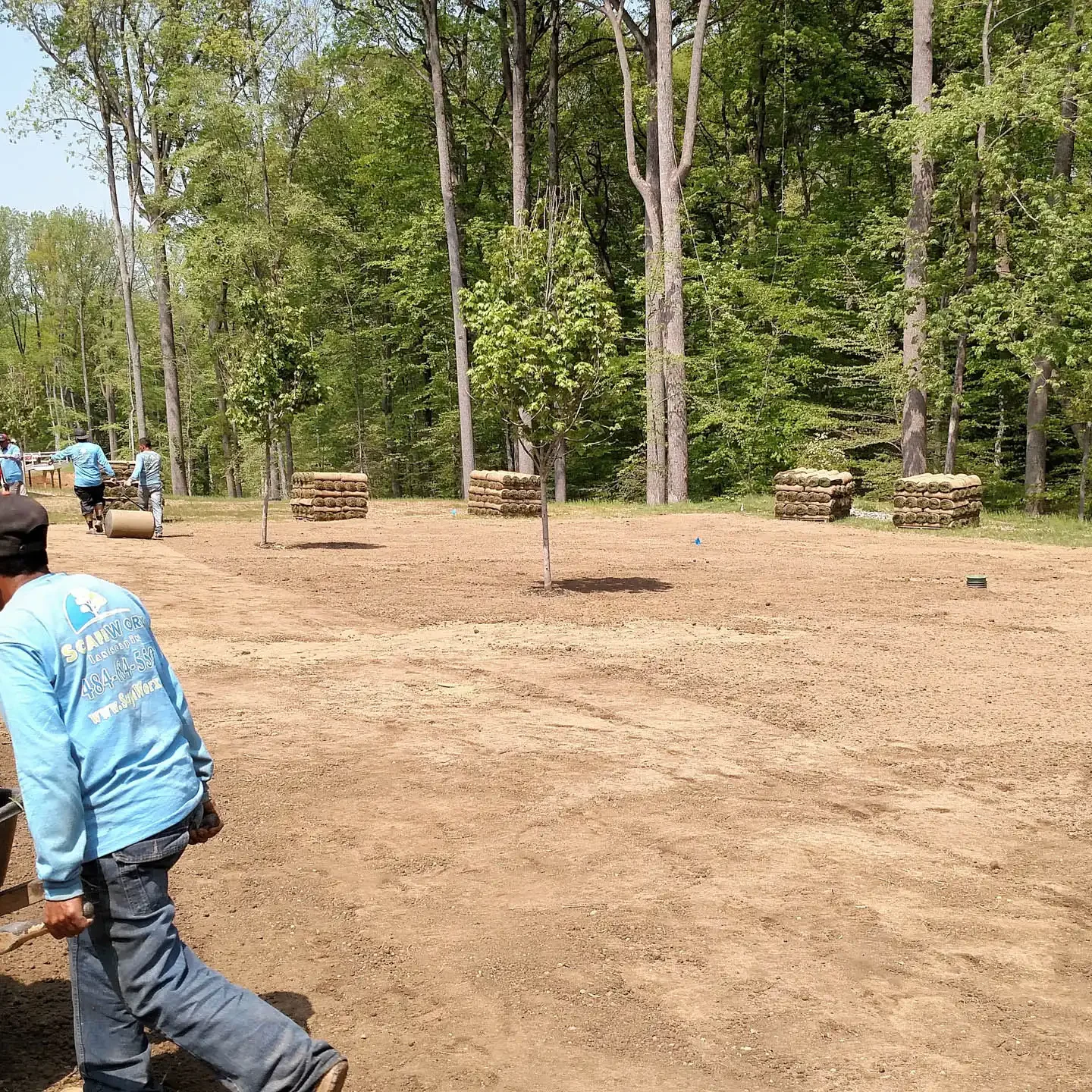 Hartwell Grading - 3 Sod in Media PA - ScapeWorx