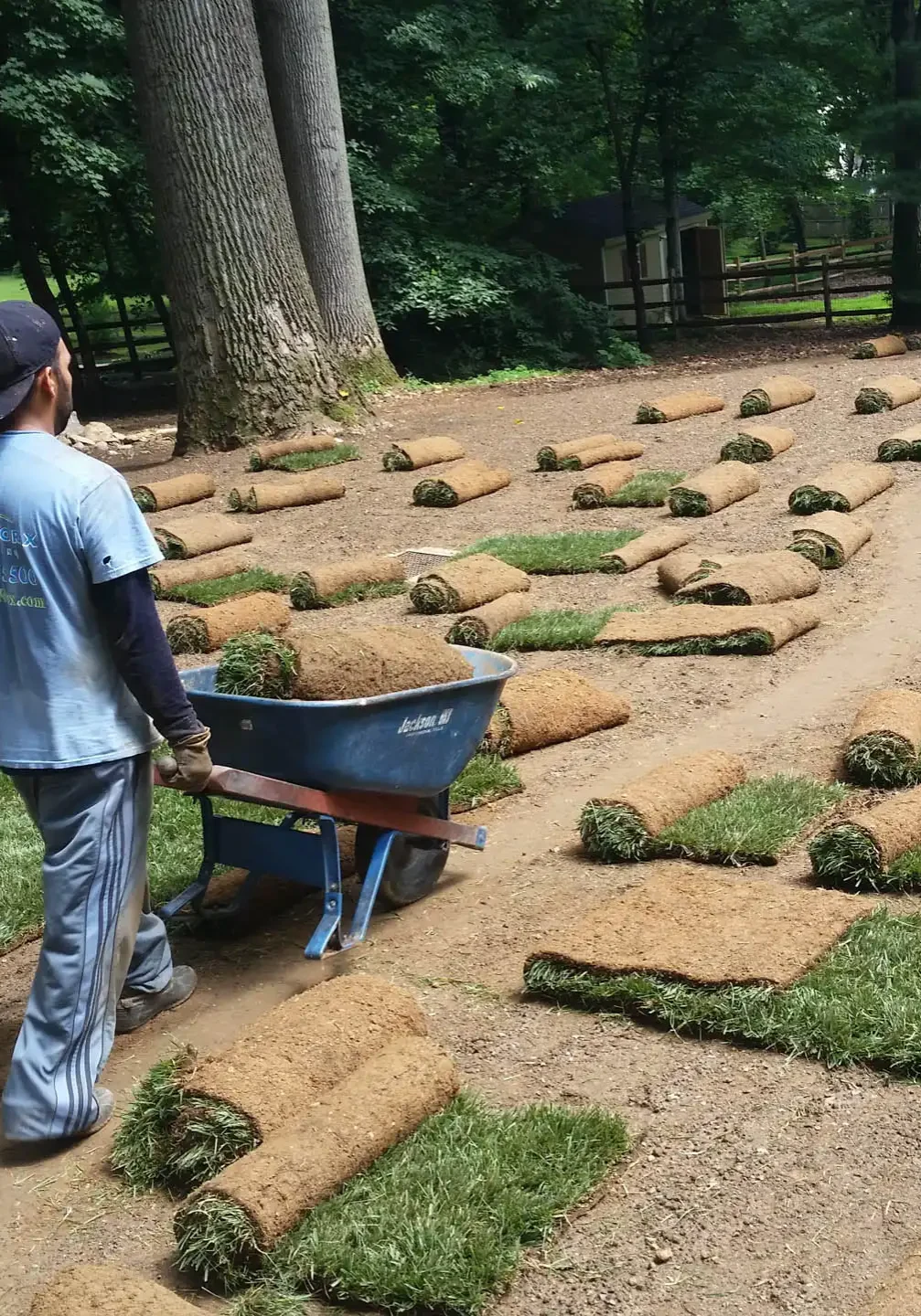 Glen Mills, PA Sod Installation Services