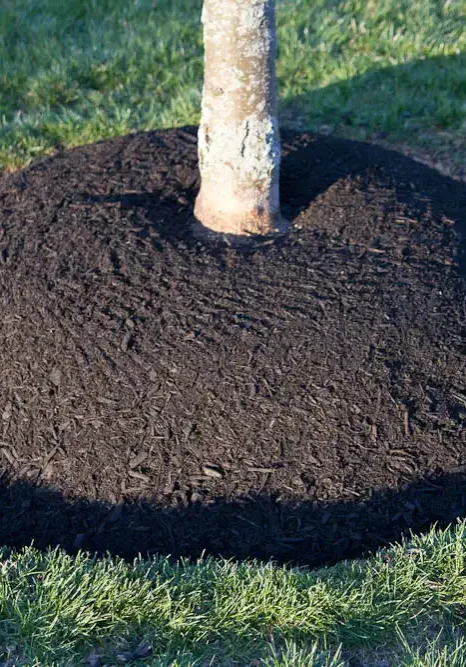 Glen Mills, PA Landscaping Companies